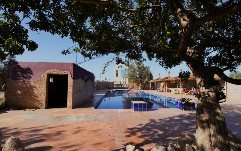 Camping-Caravaning (4)